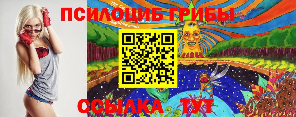 Галлюциногенные грибы Psilocybine cubensis Фрязино