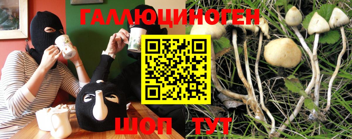 Псилоцибиновые грибы прущие грибы  Вход с VPN  Фрязино 